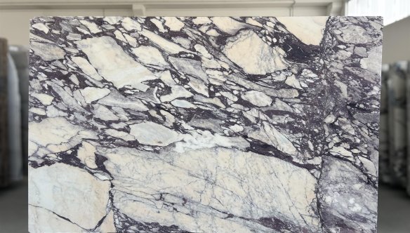 magazin-avi-001_b060732_avilasvx02_26_4.jpg