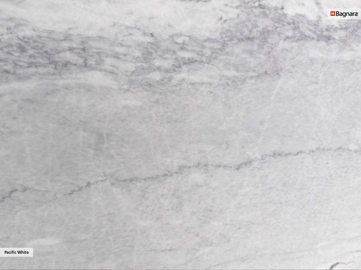 PACIFIC WHITE / Material catalog / Bagnara